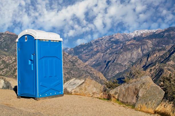 Best Affordable porta potty rental  in Nappanee, IN